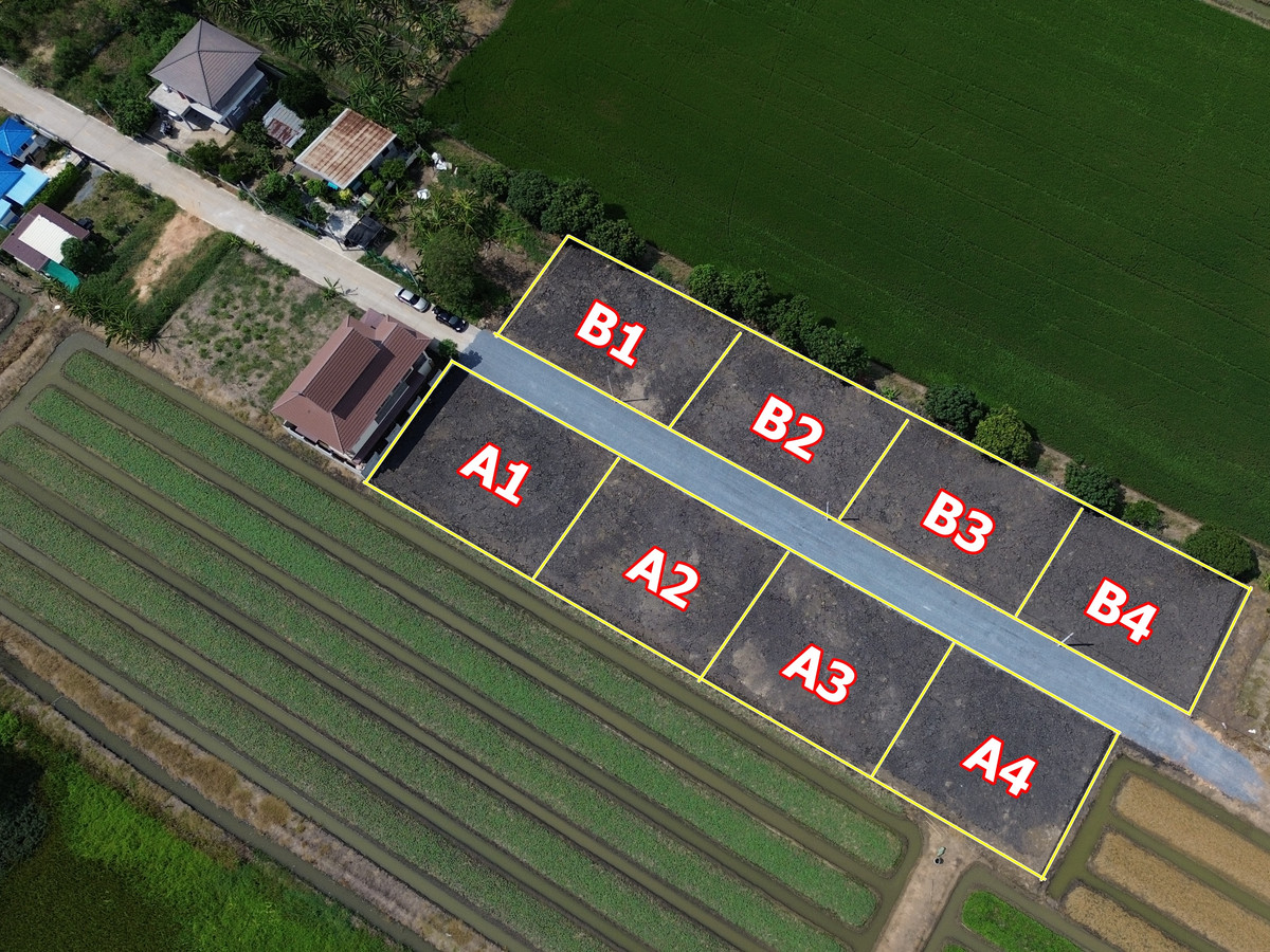 Land for sale, prime location, Thawi Watthana-Sai Noi, Nonthaburi, area 100 square meters per plot.