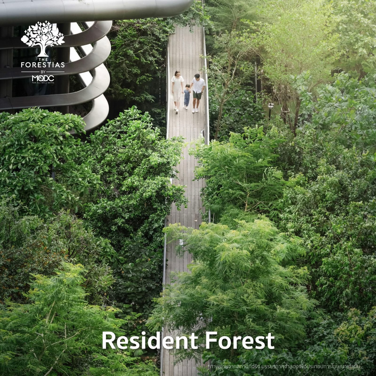 ใช้ชีวิตทันสมัยโอบล้อมด้วยธรรมชาติ: คอนโด 2 ห้องนอน ที่ Whizdom The Forestias (Mytopia) ราคาเช่า: เพียง 38,000 บาท / เดือน – รูปที่ 4