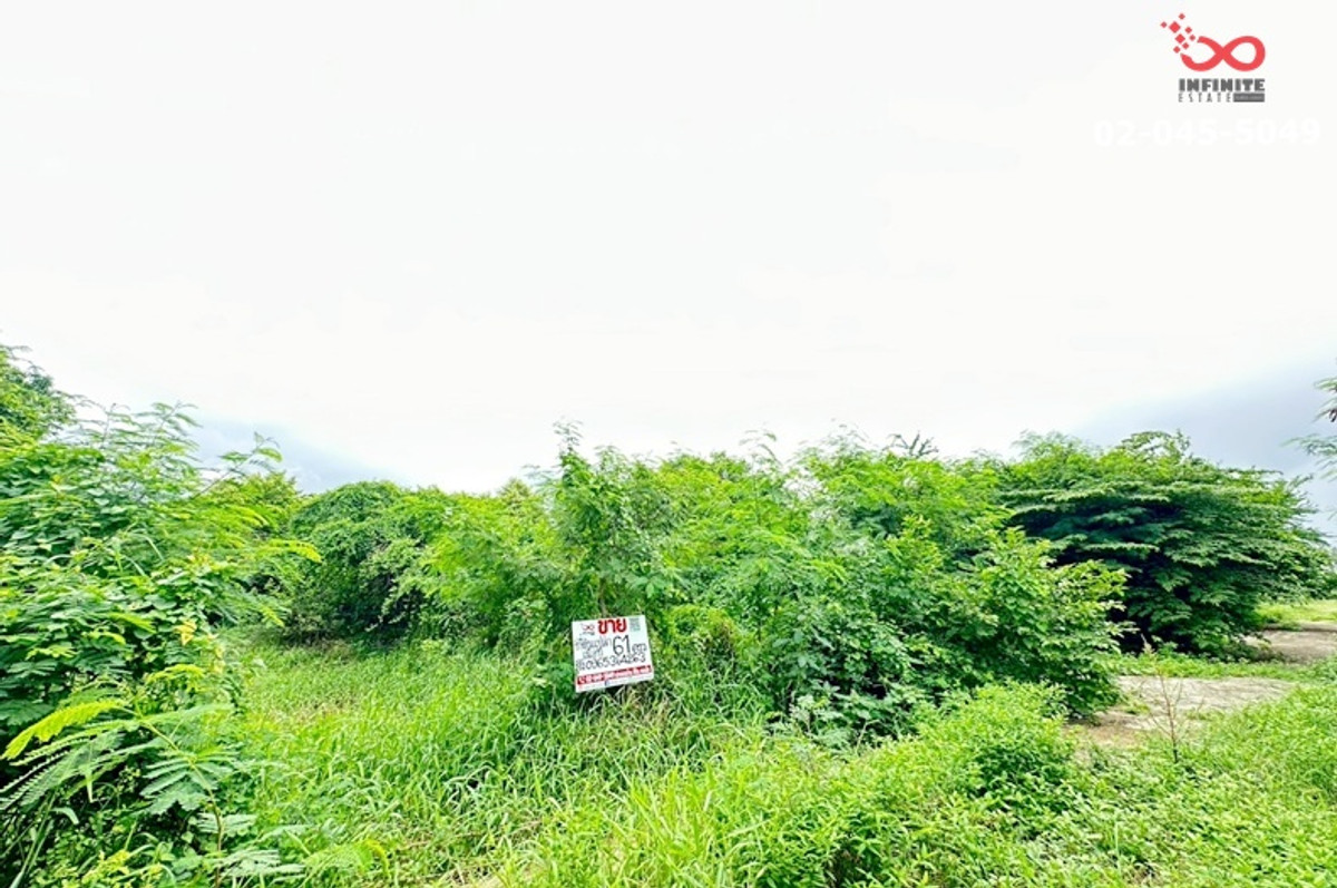 ขายที่ดิน 61ตรว.คลองพระราชาพิมล วัดลาดปลาดุก บางใหญ่ บางบัวทอง นนทบุรี – รูปที่ 2