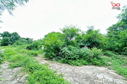 ขายที่ดิน 61ตรว.คลองพระราชาพิมล วัดลาดปลาดุก บางใหญ่ บางบัวทอง นนทบุรี