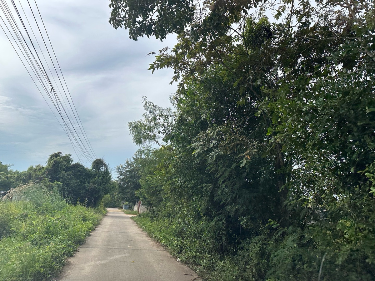 ที่ให้เช่า หนองเหียง พนัสนิคม ชลบุรี 22ไร่ เหมาะทำเกษตรกรรม