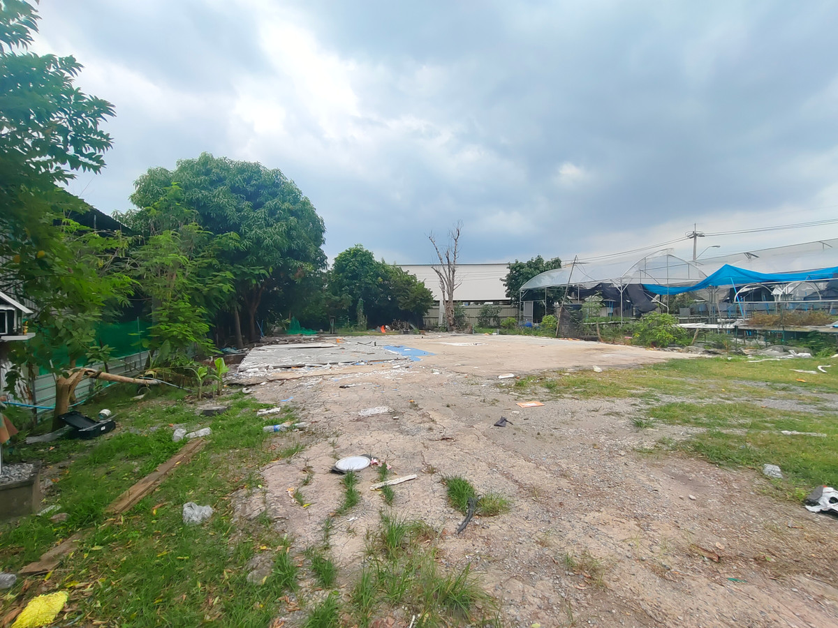ที่ดิน ถมแล้ว ถนนไทยรามัญ หทัยราษฎร์ เนื้อที่ 200 ตรว. เหมาะสร้างบ้าน ทำ office สำนักงาน และโกดังเก็บของ ทำเลดี ใกล้จุดขึ้น-ลงทางด่วน – รูปที่ 3