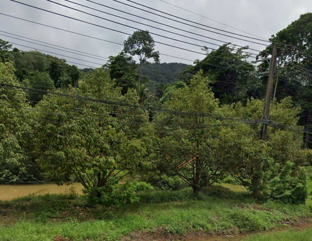 ขาย ที่ดิน แปลงสวย อ.เกาะช้าง 1 ไร่ 42 ตรว ใกล้ท่าเทียบเรือเกาะช้าง – รูปที่ 3