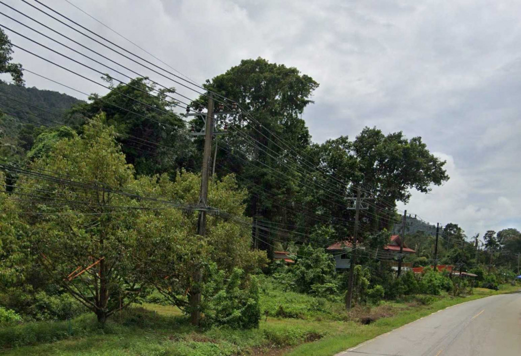 ขาย ที่ดิน แปลงสวย อ.เกาะช้าง 1 ไร่ 42 ตรว ใกล้ท่าเทียบเรือเกาะช้าง – รูปที่ 4