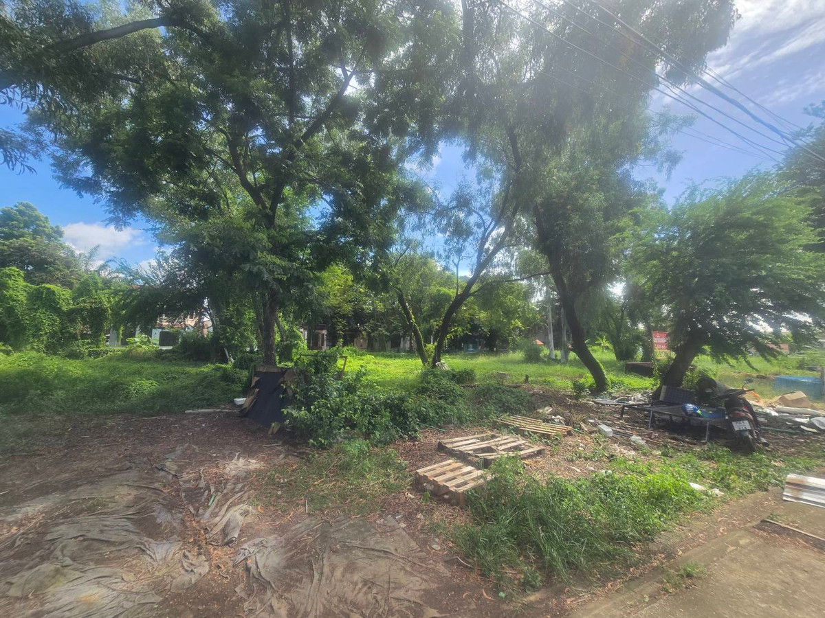 Empty land for sale, Pak Kret, Nonthaburi, good price, negotiable, near community area, area 1-1-3.3 rai, near Si Rat - Chaengwattana Expressway. Empty land for sale, Pak Kret, Nonthaburi, good price, negotiable, near community area, area 1-1-3.3 rai, near Si Rat - Chaengwattana Expressway.