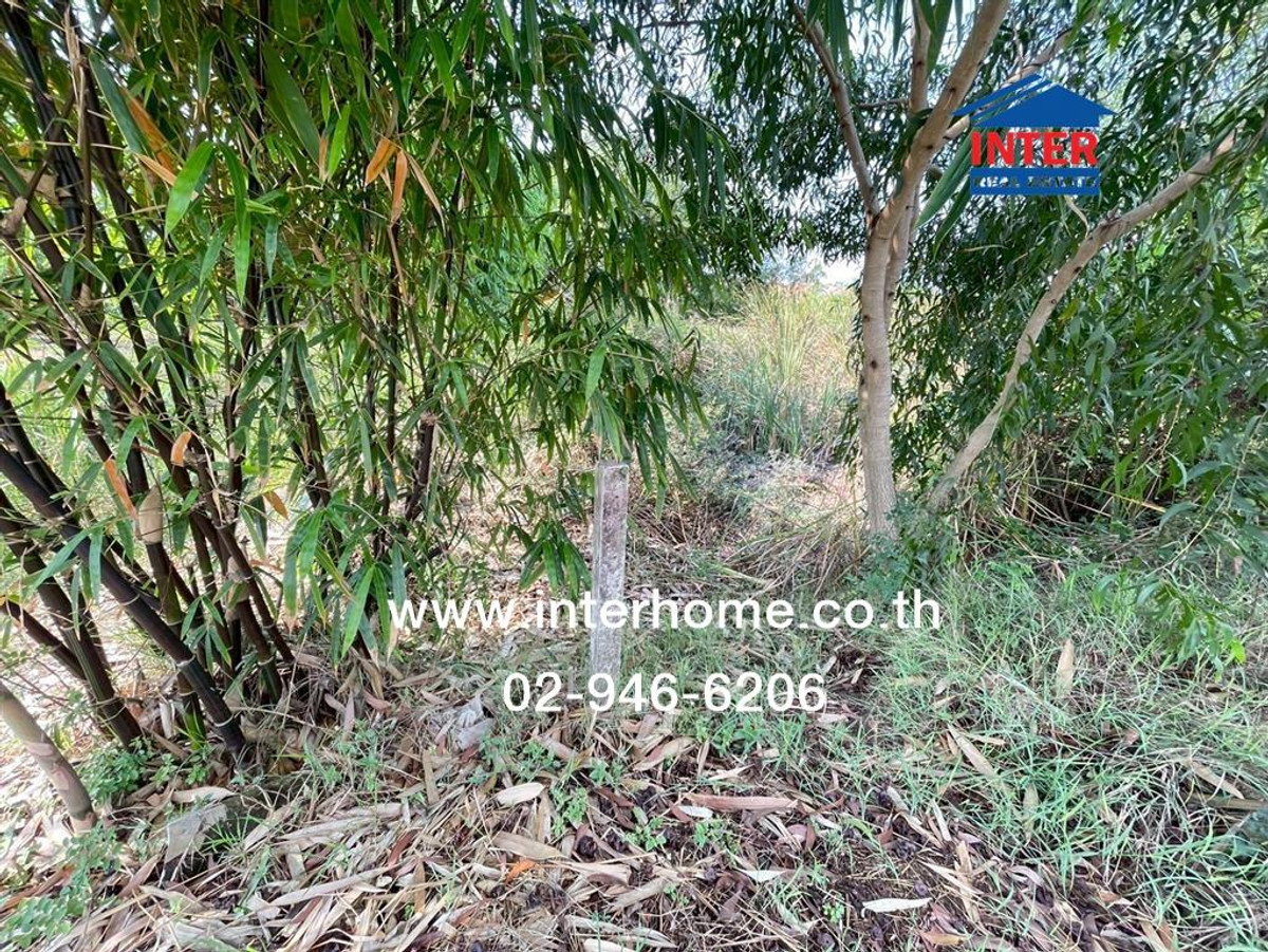 ที่ดินเปล่า 400 ตร.ว. ที่ดินเปล่า ใกล้หมู่บ้านพนาสนธิ์การ์เด้นวิลล์ ใกล้ซอยไมตรีจิต9 ถนนนิมิตใหม่ ถนนไมตรีจิต เขตคลองสามวา กรุงเทพมหานคร – รูปที่ 3