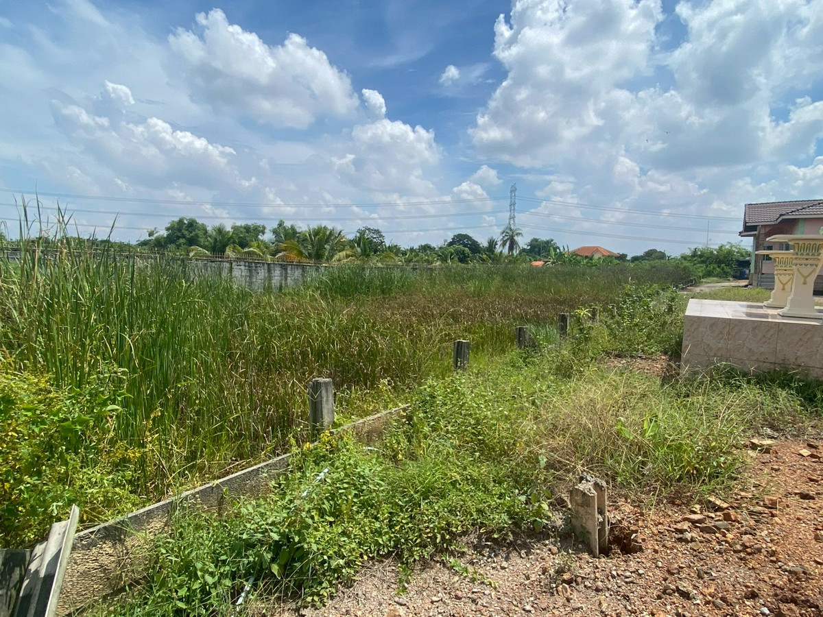ขายที่ดินสวย เหมาะสำหรับ สร้างเพื่ออยู่อาศัย หรือเพื่อการลงทุนในอนาคต ด้านติดถนน ด้านหลังติดคลองตาชม ขายที่ดินสวย เหมาะสำหรับ สร้างเพื่ออยู่อาศัย หรือเพื่อการลงทุนในอนาคต ด้านติดถนน ด้านหลังติดคลองตาชม