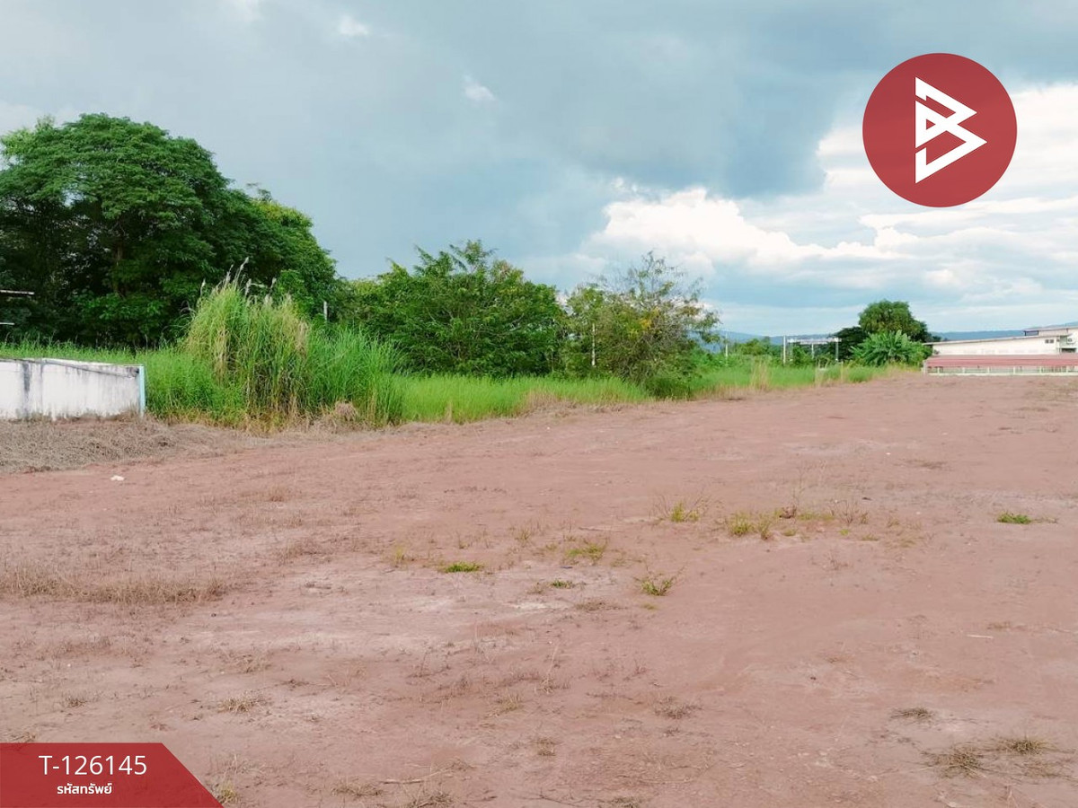 ขายที่ดิน เนื้อที่ 4 ไร่ 2 งาน 7.2 ตร.วา วัดโบสถ์ พิษณุโลก – รูปที่ 2