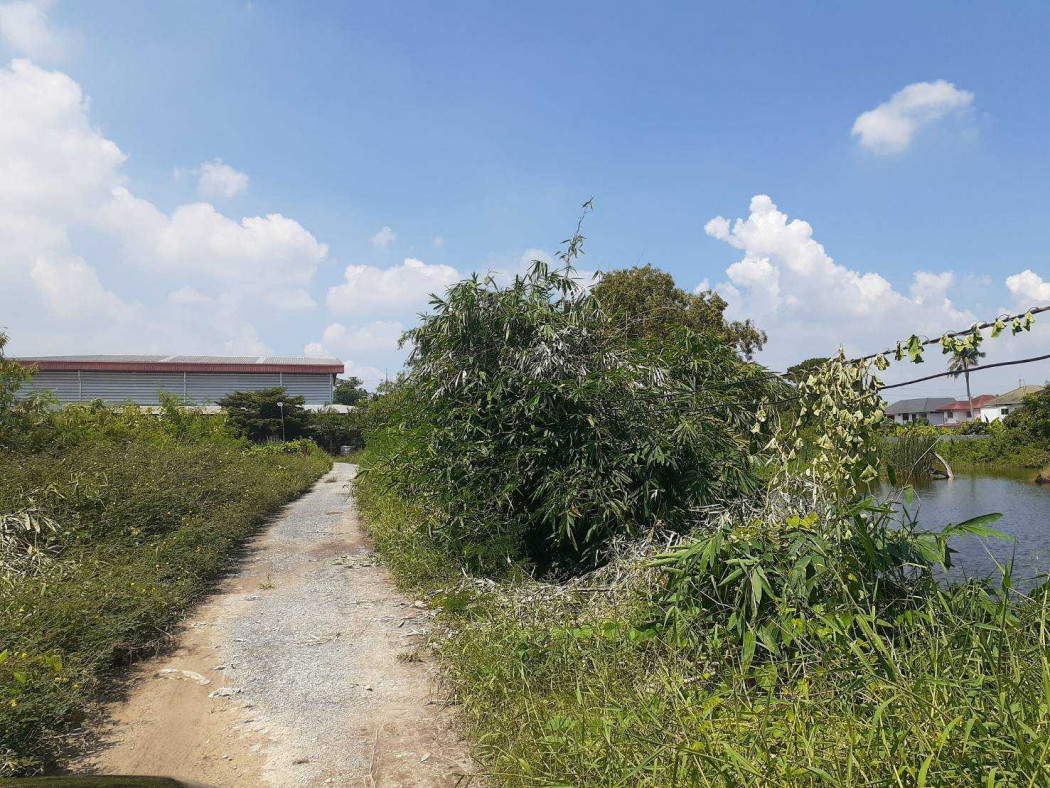 ขาย ที่ดิน ย่านถนนสุวินทวงศ์ 12 ไร่ 2 งาน 46 ตรว เหมาะสร้าง หมู่บ้าน ทาวน์โฮม คอนโด – รูปที่ 3