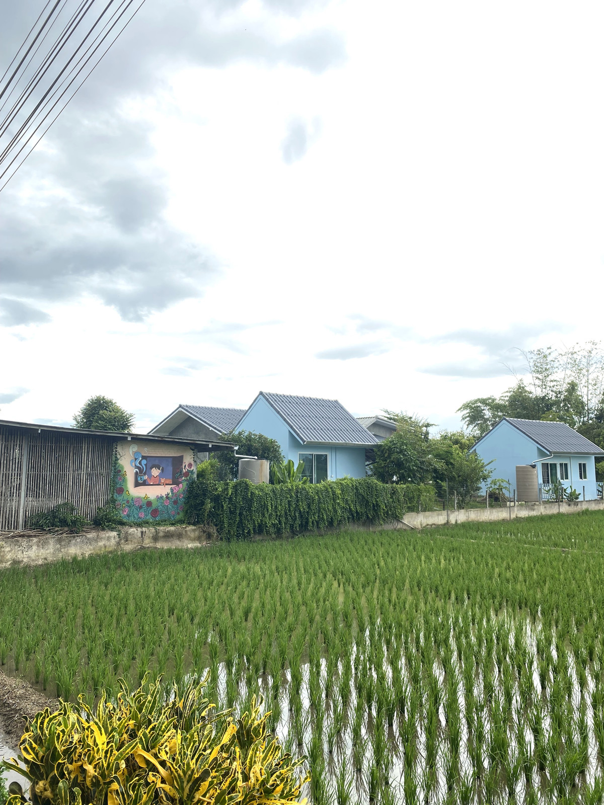 ขายบ้านพร้อมที่ดิน วิวรอบด้าน อำเภอเเม่แตง จังหวัดเชียงใหม่ – รูปที่ 2