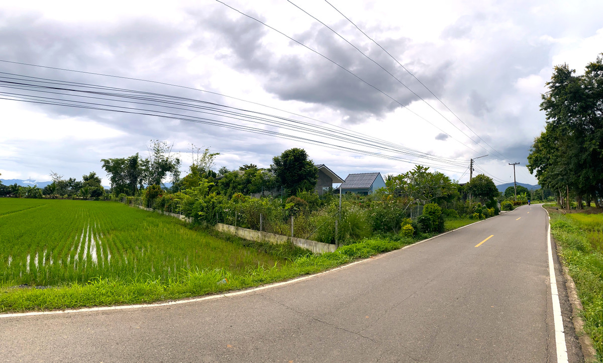 ขายบ้านพร้อมที่ดิน วิวรอบด้าน อำเภอเเม่แตง จังหวัดเชียงใหม่ – รูปที่ 3