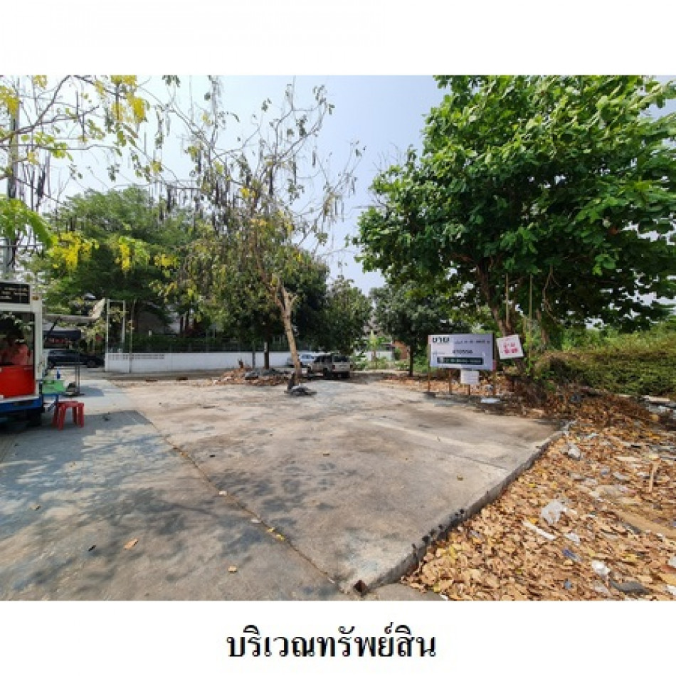 ขาย ที่ดิน ติวานนท์ ติดถนนเรวดี เนื้อที่ 4 ไร่ 44 ตรว – รูปที่ 2