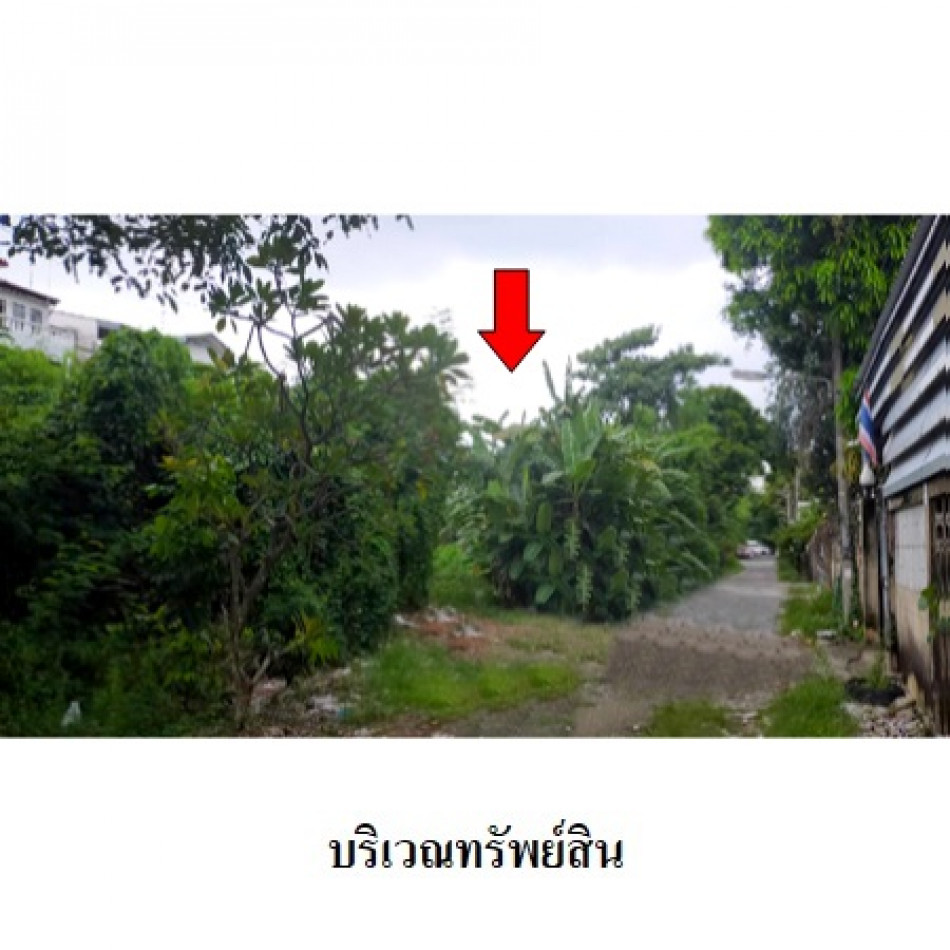 ขาย ที่ดิน ติวานนท์ ติดถนนเรวดี เนื้อที่ 4 ไร่ 44 ตรว – รูปที่ 3