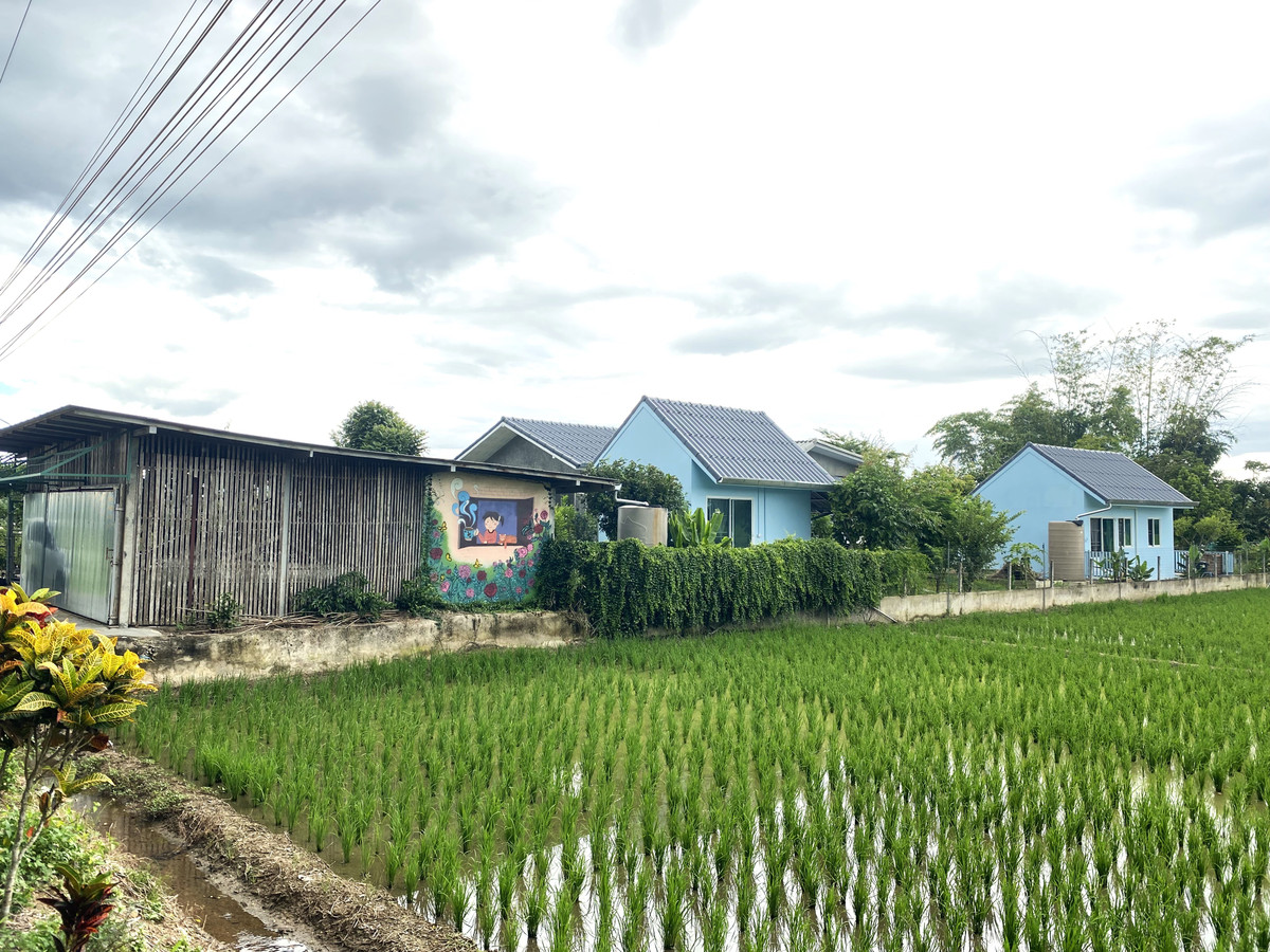 ขายบ้านพร้อมที่ดิน วิวรอบด้าน อำเภอเเม่แตง จังหวัดเชียงใหม่