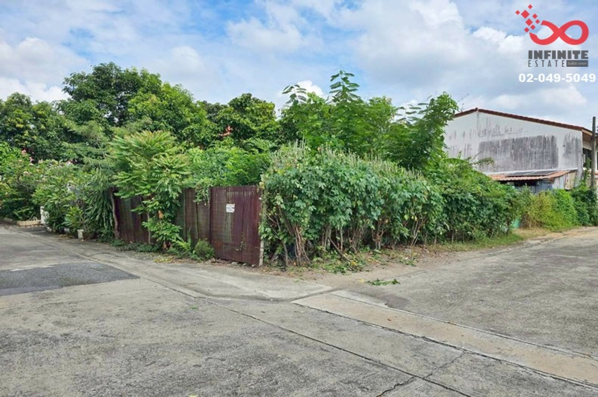 ขายที่ดิน 82ตรว.ลาดพร้าว 99 แปลงมุม ใกล้รถไฟฟ้า เพียง 250ม. – รูปที่ 2