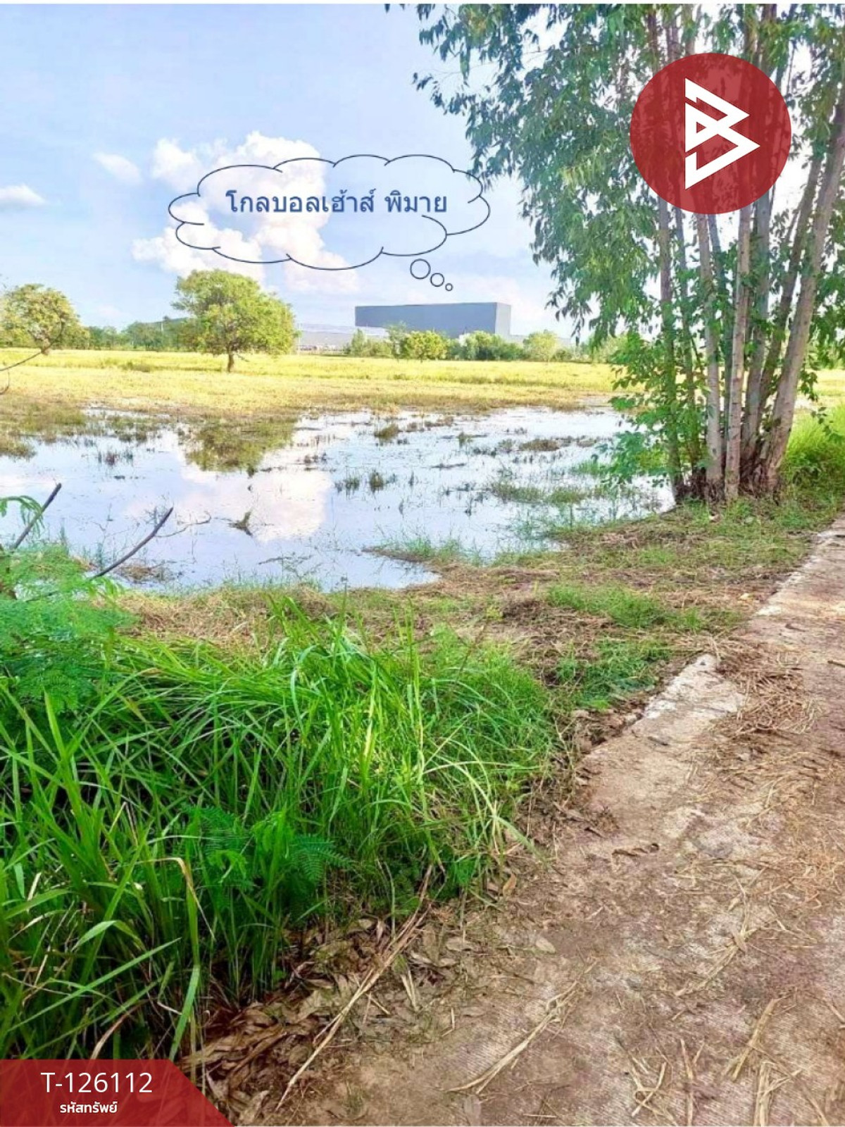 ขายที่ดิน เนื้อที่ 8 ไร่ 63 ตร.วา พิมาย นครราชสีมา – รูปที่ 4
