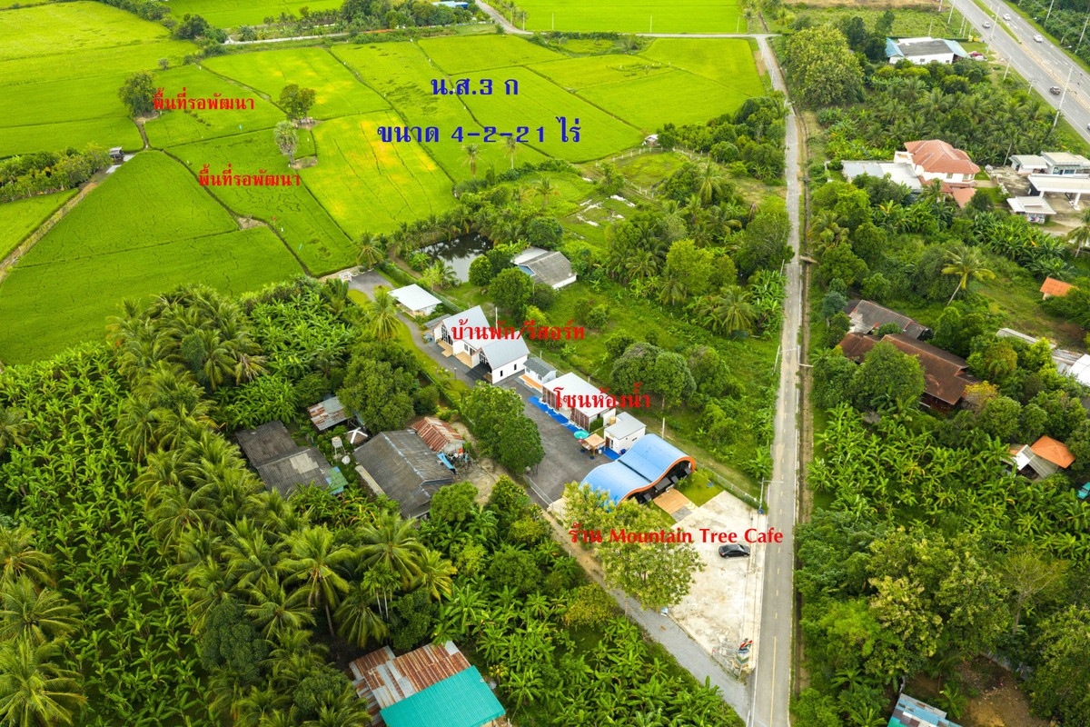 ขายขาดทุน ที่ดินพร้อมคาเฟ่และบ้านพัก แก่งเสี้ยน กาญจนบุรี 4-2-21 ไร่ เหมือนซื้อที่ดิน แต่ได้คาเฟ่และบ้านพักเสมือนได้ฟรี – รูปที่ 3