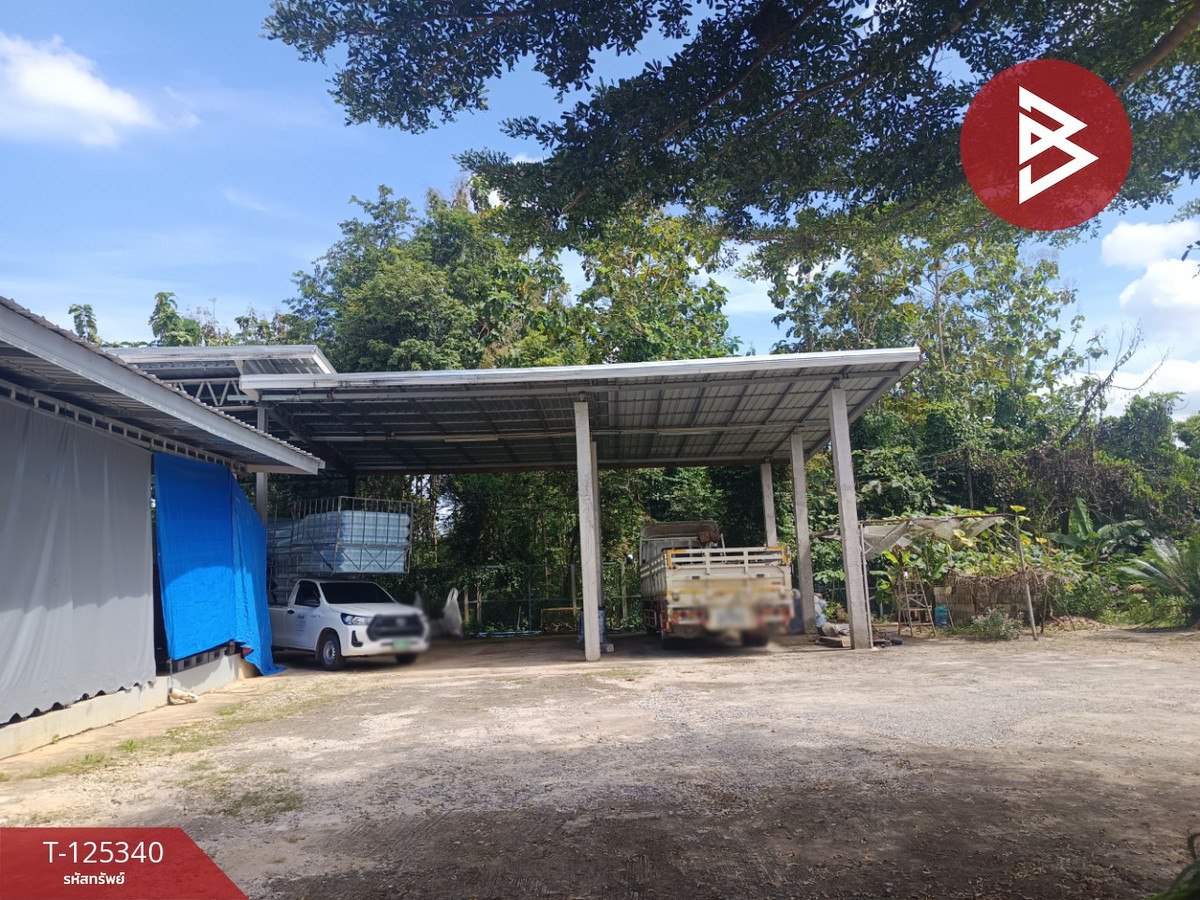ขายบ้านเดี่ยวพร้อมที่ดิน เนื้อที่ 2 งาน 69.6 ตารางวา นาอาน เลย – รูปที่ 4