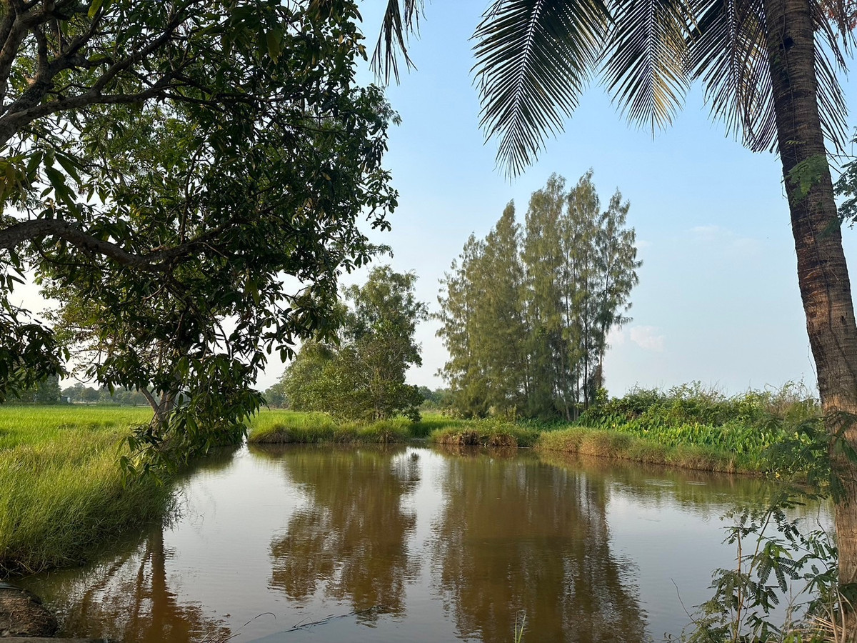 🏡 ขายที่ดินแปลงสวย 3 ไร่🌳 – รูปที่ 3