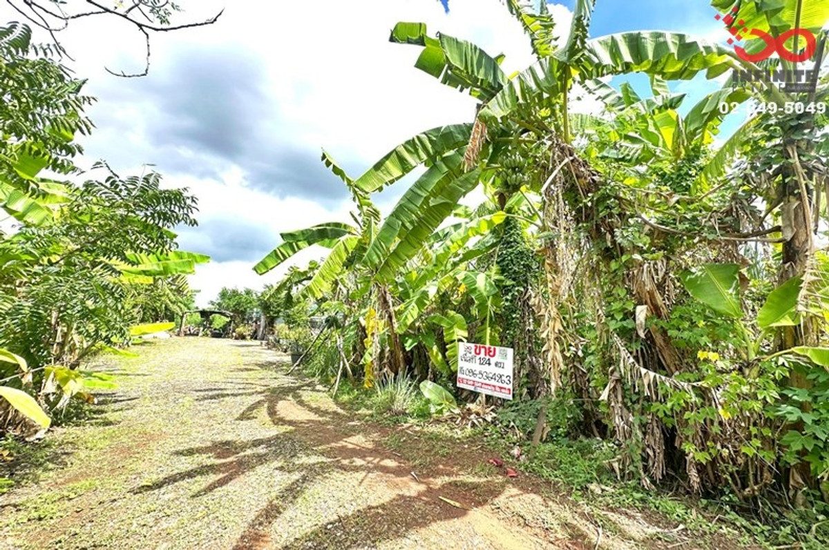 ขายที่ดิน 124ตร.ว. คลองถนน กาญจนาภิเษก บางใหญ่ นนทบุรี – รูปที่ 3