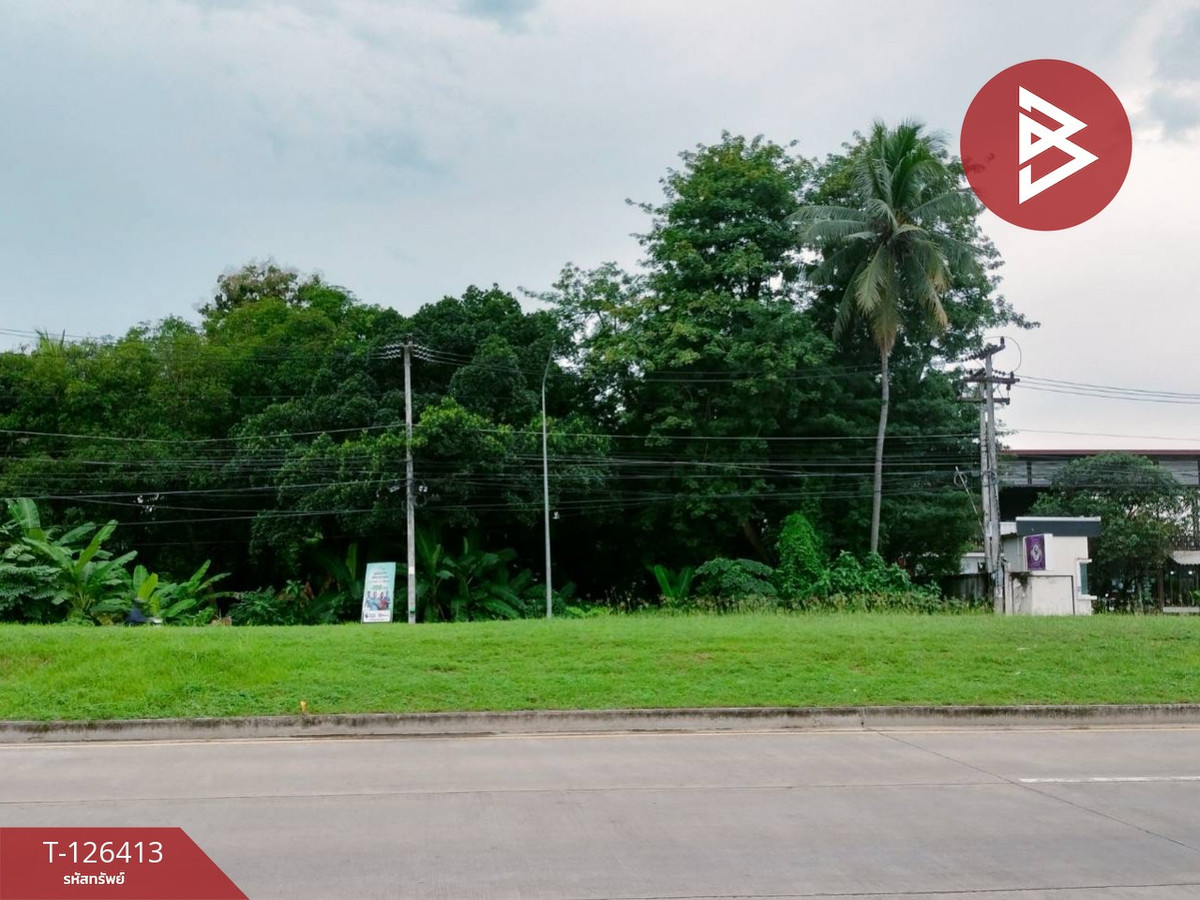 Beautiful plot of land for sale, area 1 rai 3 ngan 60 square wah, Phitsanulok, next to Phitsanulok-Bang Rakam Road. – รูปที่ 2