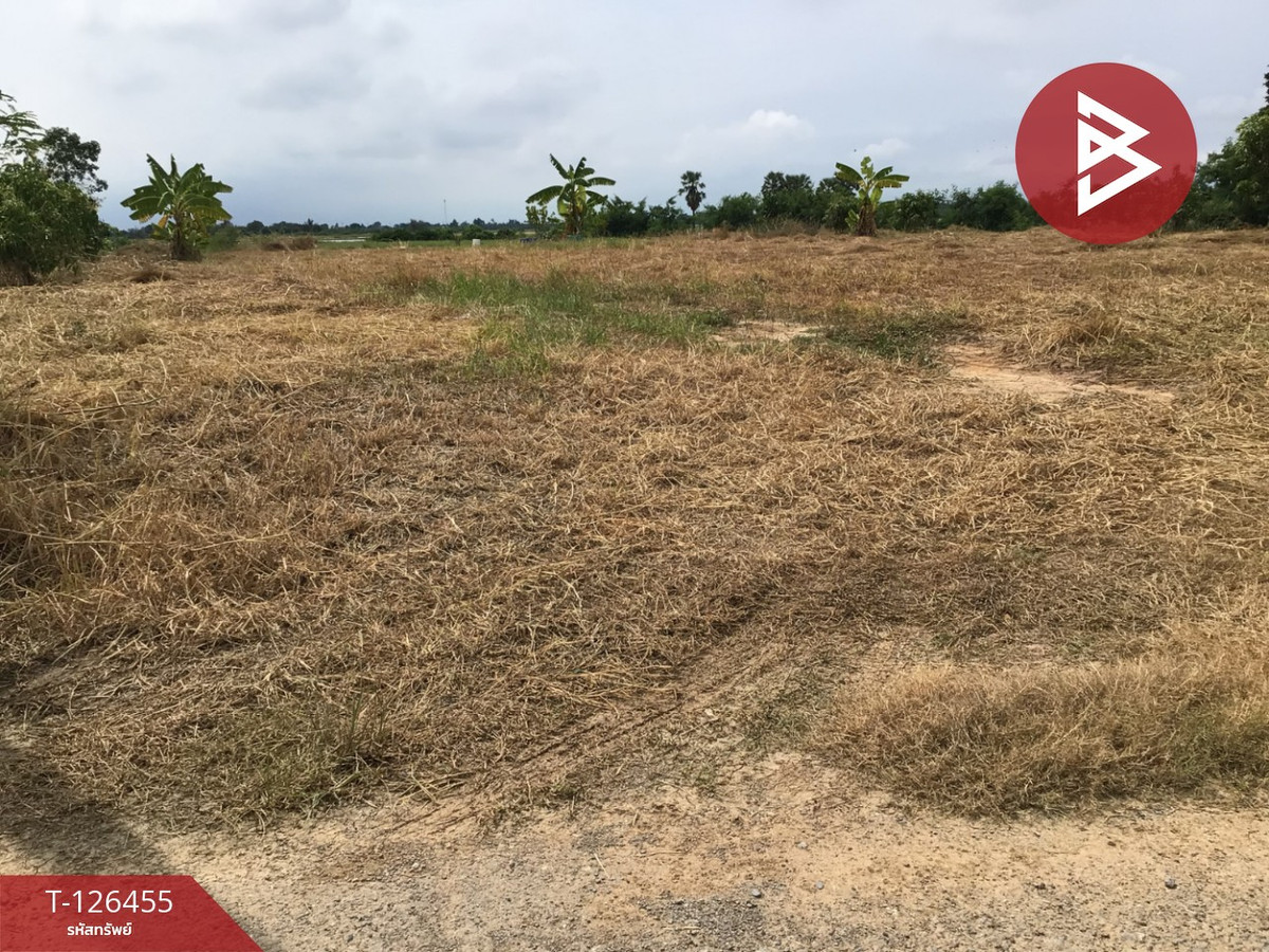 Empty land for sale, area 2 rai, Bang Pla Ma, Suphanburi, good location. – รูปที่ 4