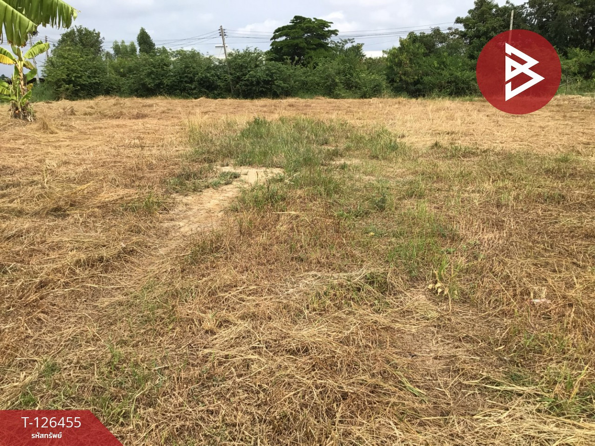 Empty land for sale, area 2 rai, Bang Pla Ma, Suphanburi, good location. – รูปที่ 2
