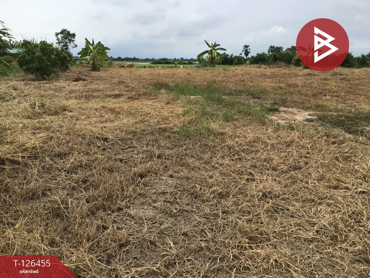 Empty land for sale, area 2 rai, Bang Pla Ma, Suphanburi, good location. – รูปที่ 3