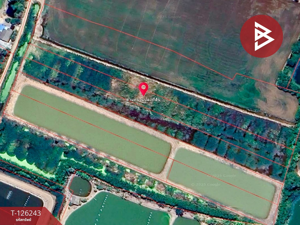 Beautiful plot of land for sale, area 3 rai, Ban Pho, Chachoengsao. – รูปที่ 4