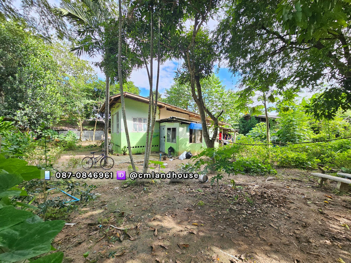 ขายที่ดินแถมบ้านเก่า เฉลี่ย ตรว.ละ 7,500 ติดถนนสัญจร ต.สันป่าเปา อ.สันทราย ใกล้เซ็นทรัลเฟส 11 กม. แค่ที่ดินก็คุ้มแล้ว ตัวบ้านสามารถรีโนเวทอยู่อาศัยได้ – รูปที่ 4