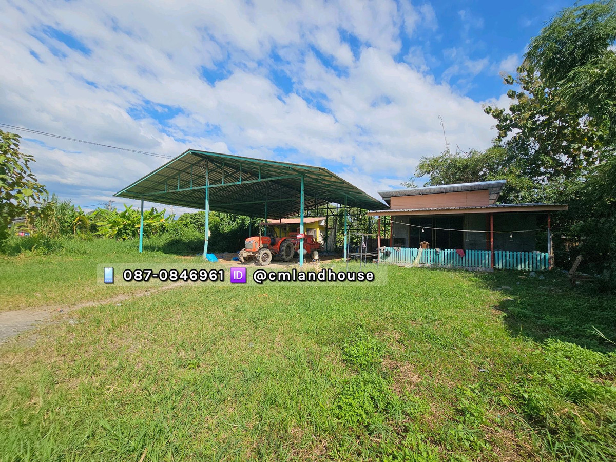 Land for sale, 200 sq m. with house and greenhouse, San Pa Pao Subdistrict, San Sai District, near Central Festival 11 km., near Laab Kai Ban Hong Restaurant, Branch 3. – รูปที่ 3