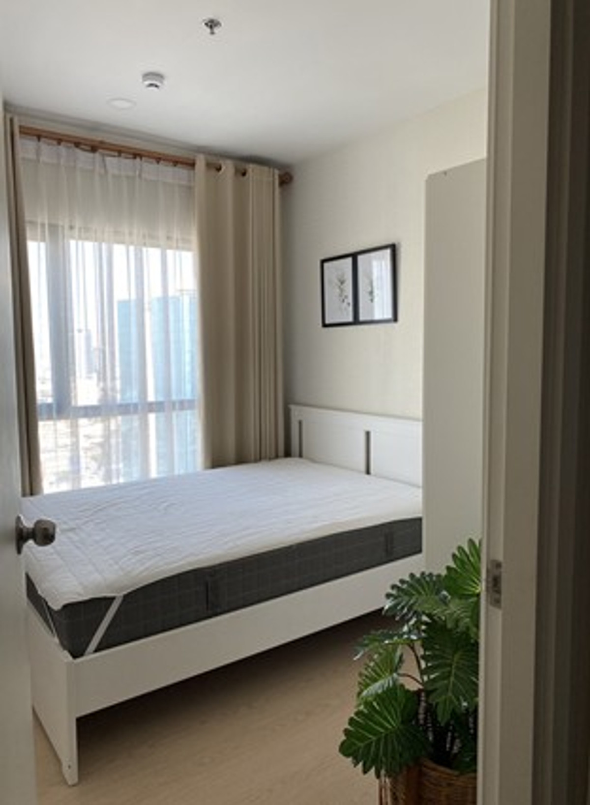 💤💤Urgent sale condo THE TREE SUKHUMVIT 71 -AKAMAI (The Tree Sukhumvit 71- Ekkamai) special price 2.4 million including transfer 💥💥 💤💤Urgent sale condo THE TREE SUKHUMVIT 71 -AKAMAI (The Tree Sukhumvit 71- Ekkamai) special price 2.4 million including transfer 💥💥