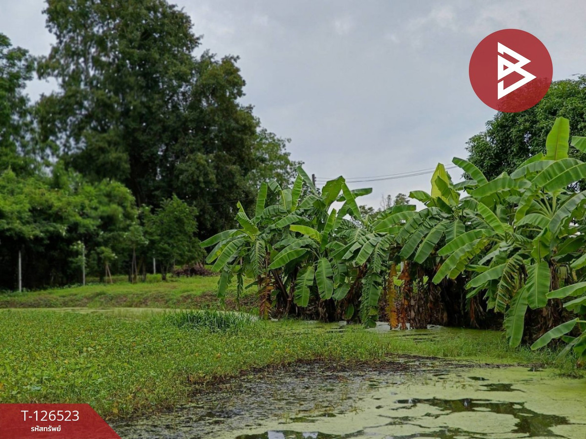 Land for sale with buildings, area 2 rai 3 ngan 50 sq m, Nong Chang, Uthai Thani. – รูปที่ 3