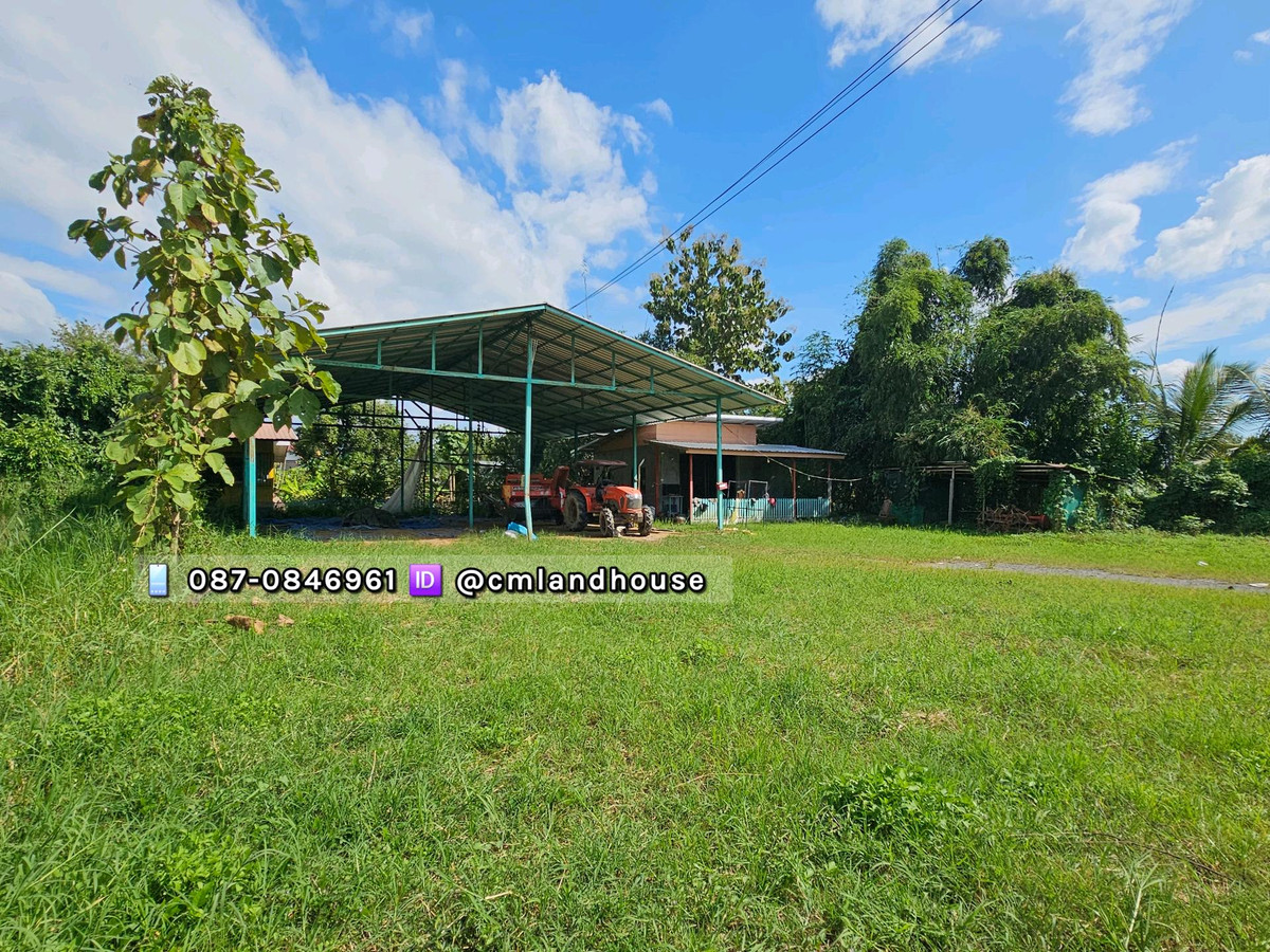 Land for sale, 200 sq m. with house and greenhouse, San Pa Pao Subdistrict, San Sai District, near Central Festival 11 km., near Laab Kai Ban Hong Restaurant, Branch 3. – รูปที่ 2
