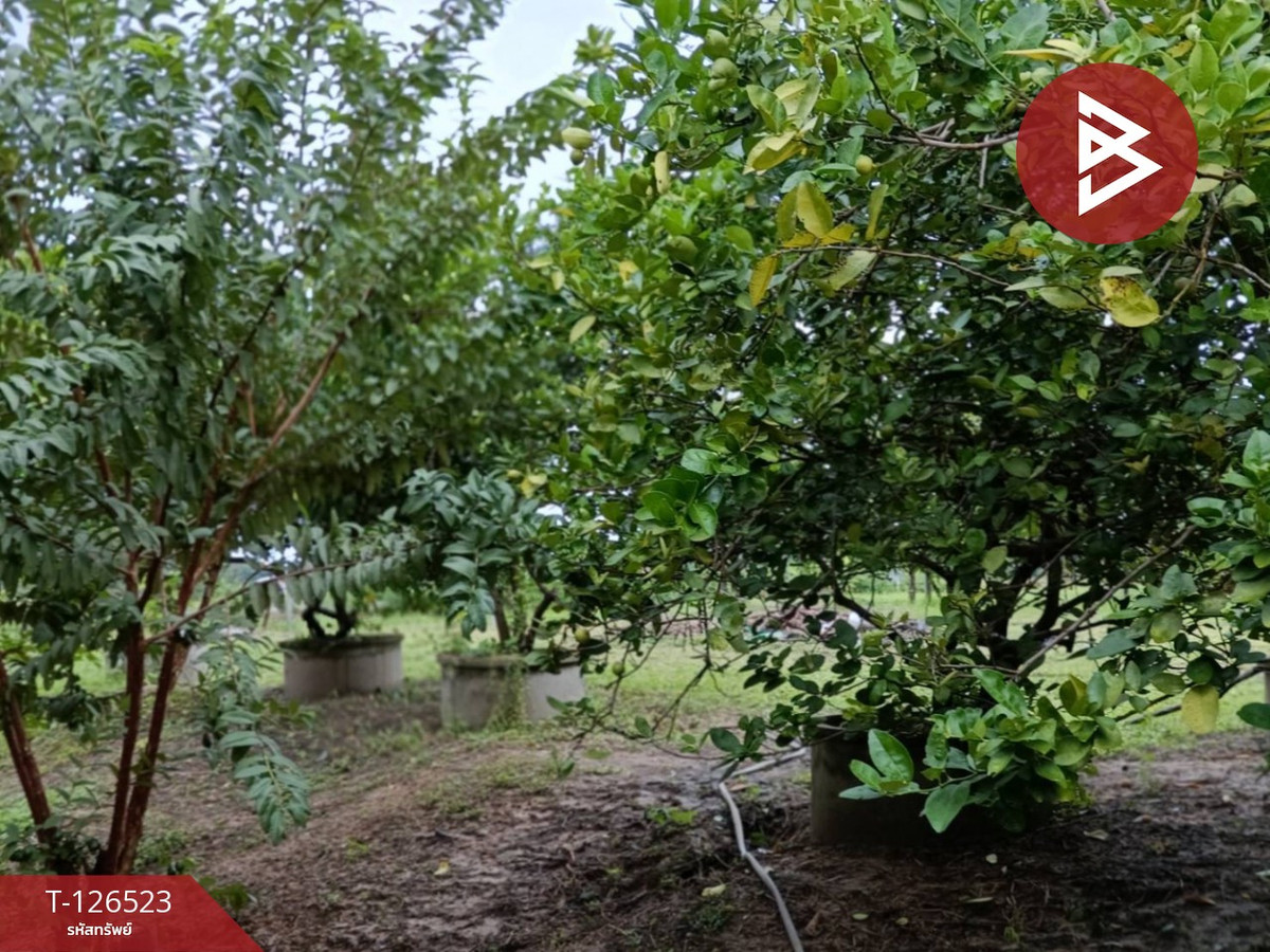Land for sale with buildings, area 2 rai 3 ngan 50 sq m, Nong Chang, Uthai Thani. – รูปที่ 4