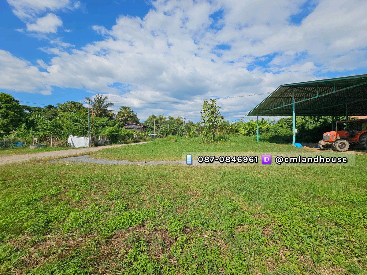 Land for sale, 200 sq m. with house and greenhouse, San Pa Pao Subdistrict, San Sai District, near Central Festival 11 km., near Laab Kai Ban Hong Restaurant, Branch 3. – รูปที่ 4