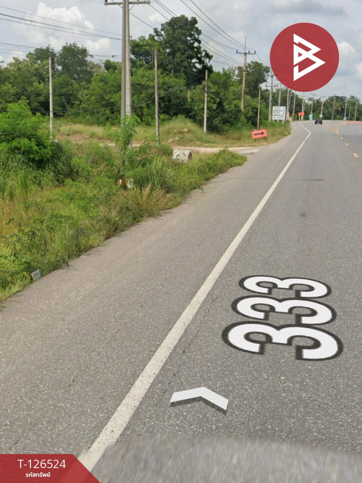 ขายที่ดิน เนื้อที่ 4 ไร่ 2 งาน 13 ตร.วา หนองฉาง อุทัยธานี – รูปที่ 3