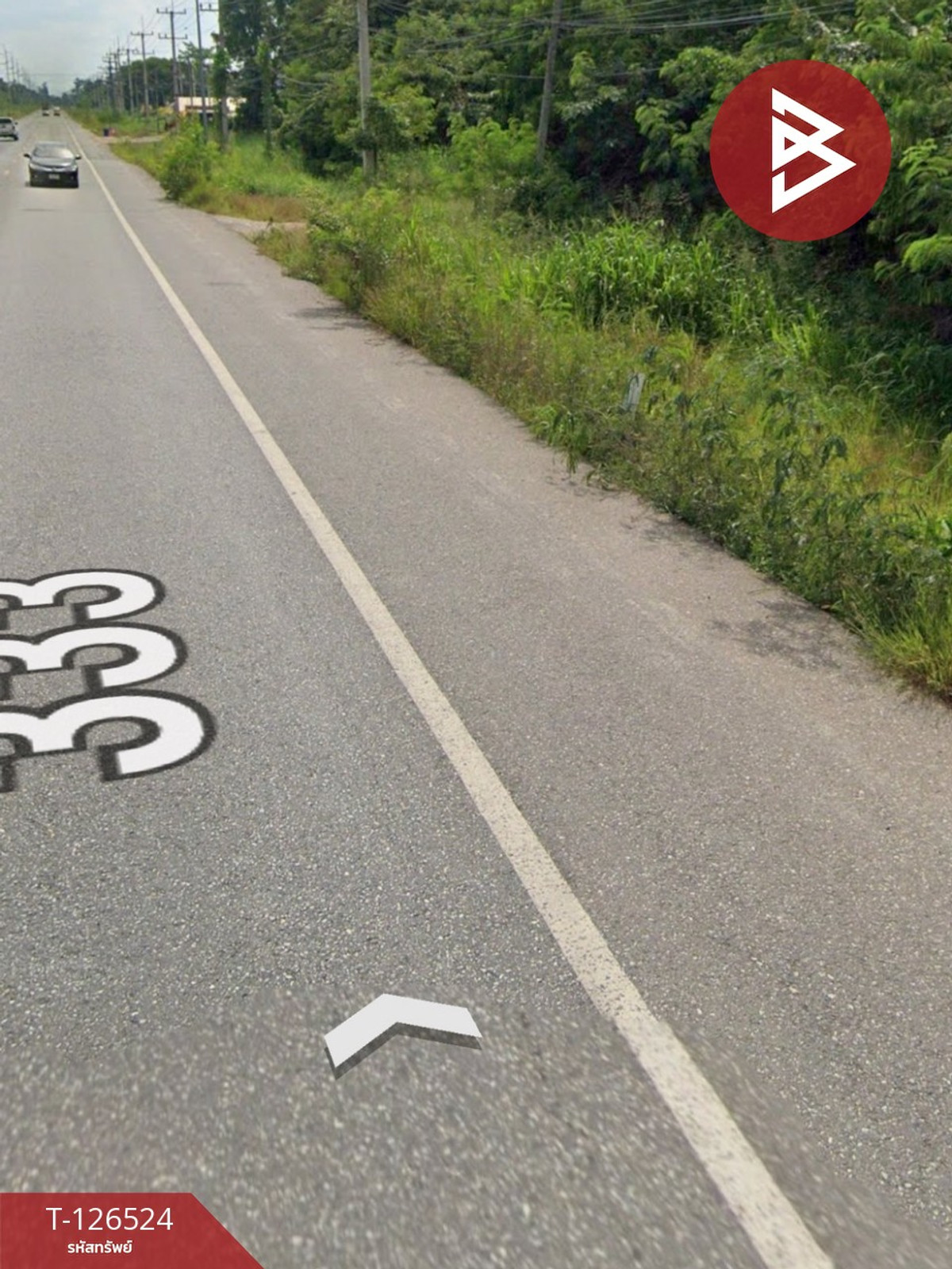 ขายที่ดิน เนื้อที่ 4 ไร่ 2 งาน 13 ตร.วา หนองฉาง อุทัยธานี – รูปที่ 4