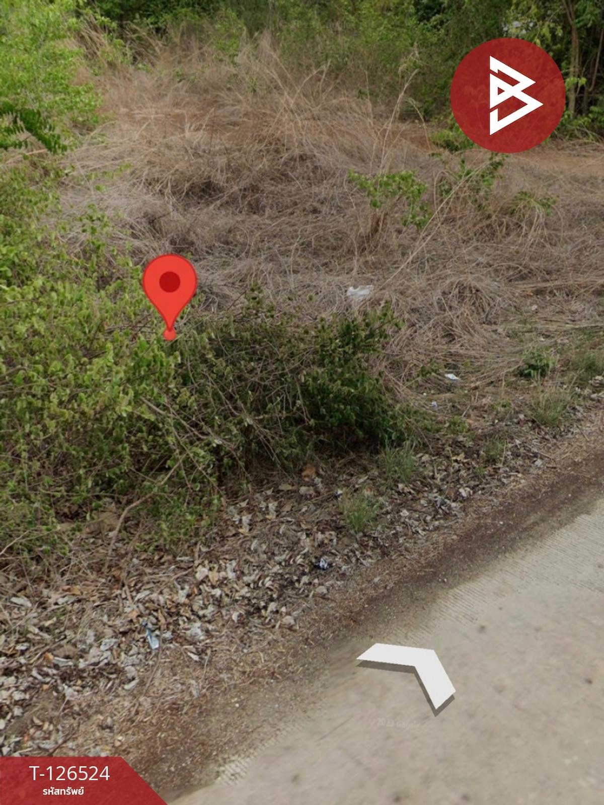 ขายที่ดิน เนื้อที่ 4 ไร่ 2 งาน 13 ตร.วา หนองฉาง อุทัยธานี – รูปที่ 2