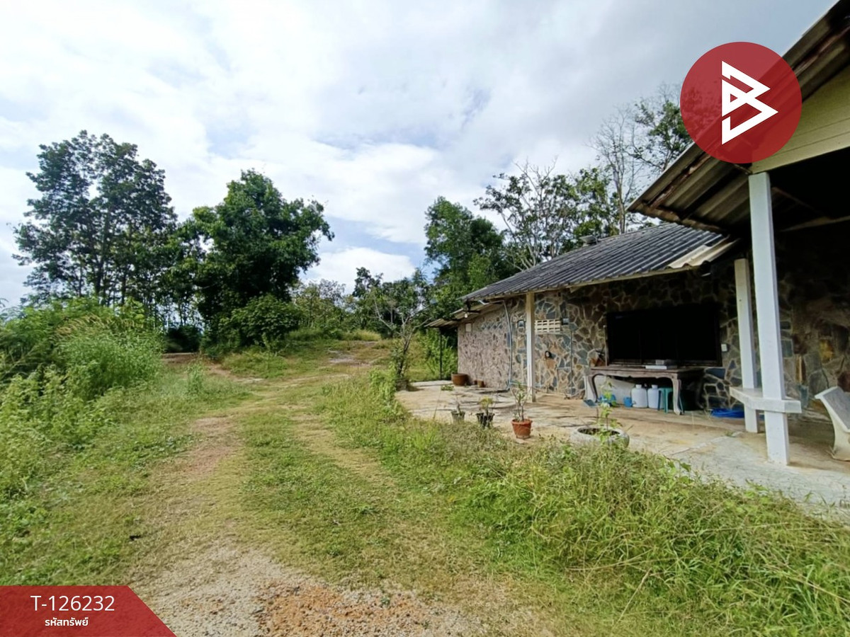 ขายที่ดินพร้อมสิ่งปลูกสร้าง เนื้อที่ 25 ไร่ 2 งาน 19.9 ตร.วา ปากช่อง นครราชสีมา – รูปที่ 4