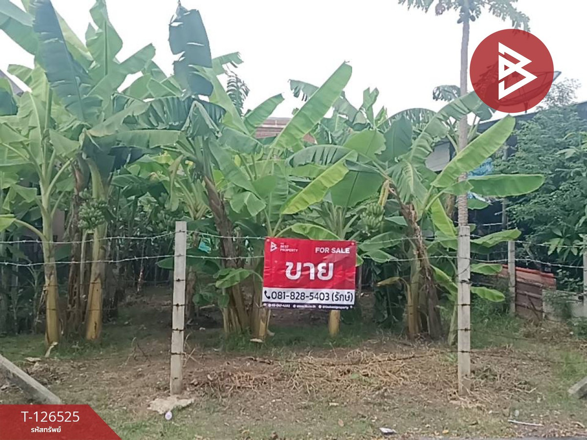 ขายที่ดินถมแล้ว เนื้อที่ 46.9 ตร.วา คลองหลวง ปทุมธานี – รูปที่ 2