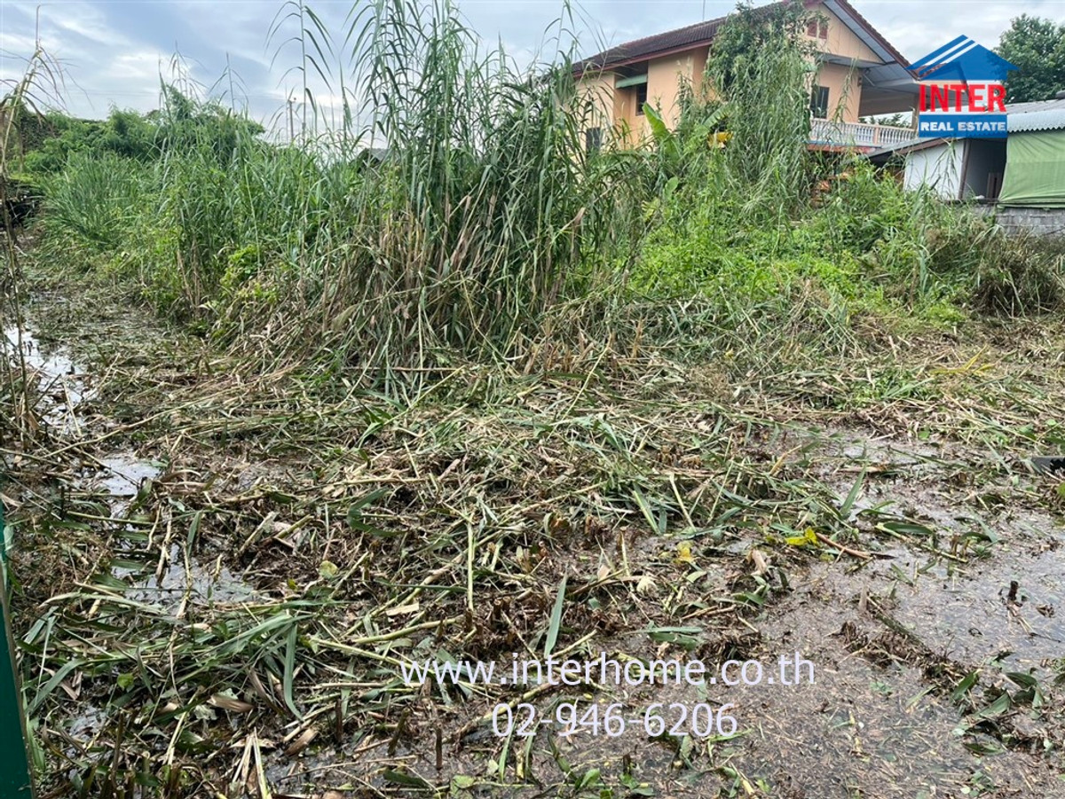 ที่ดินเปล่า 299 ตร.ว. ที่ดิน ซอยหมู่บ้านกาญจนลักษณ์3 ใกล้วัดศรีเรืองบุญ ถนนกาญจนาภิเษก ถนนนครอินทร์ บางกรวย นนทบุรี – รูปที่ 3