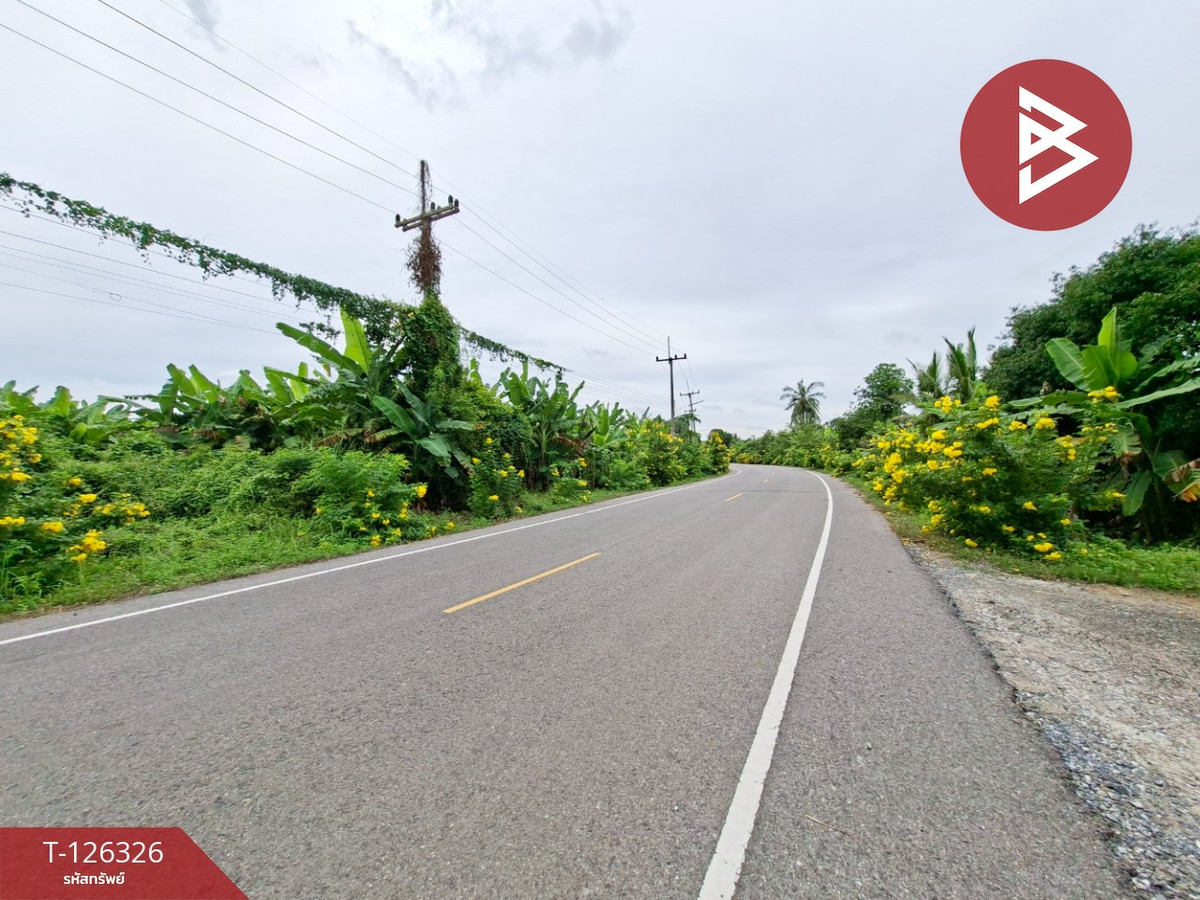ขายที่ดิน เนื้อที่ 3 ไร่ 2 งาน 80 ตร.วา บ้านมะเกลือ นครสวรรค์ – รูปที่ 4