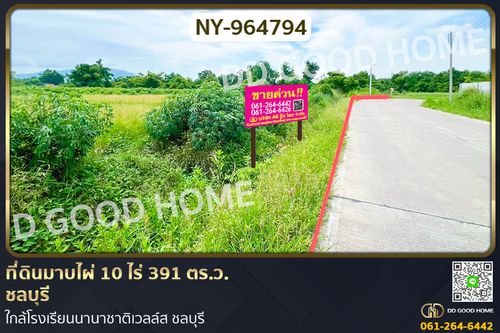 NY-964794 Land in Maphai, 10 rai, 391 sq wah, Chonburi, near Wells International School, Chonburi