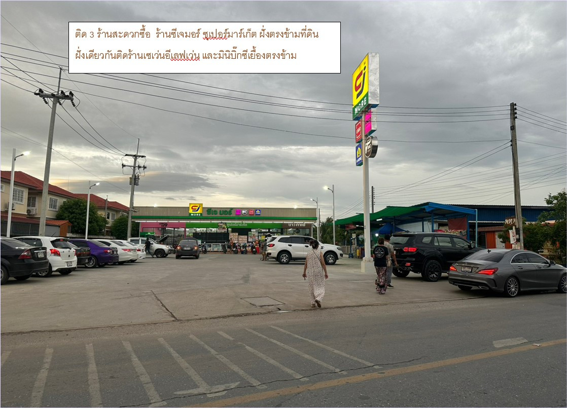 บ้านศาลายา ถนนดาวทอง ต.มหาสวัสดิ์ อ.พุทธมณฑล จ.นครปฐม – รูปที่ 3