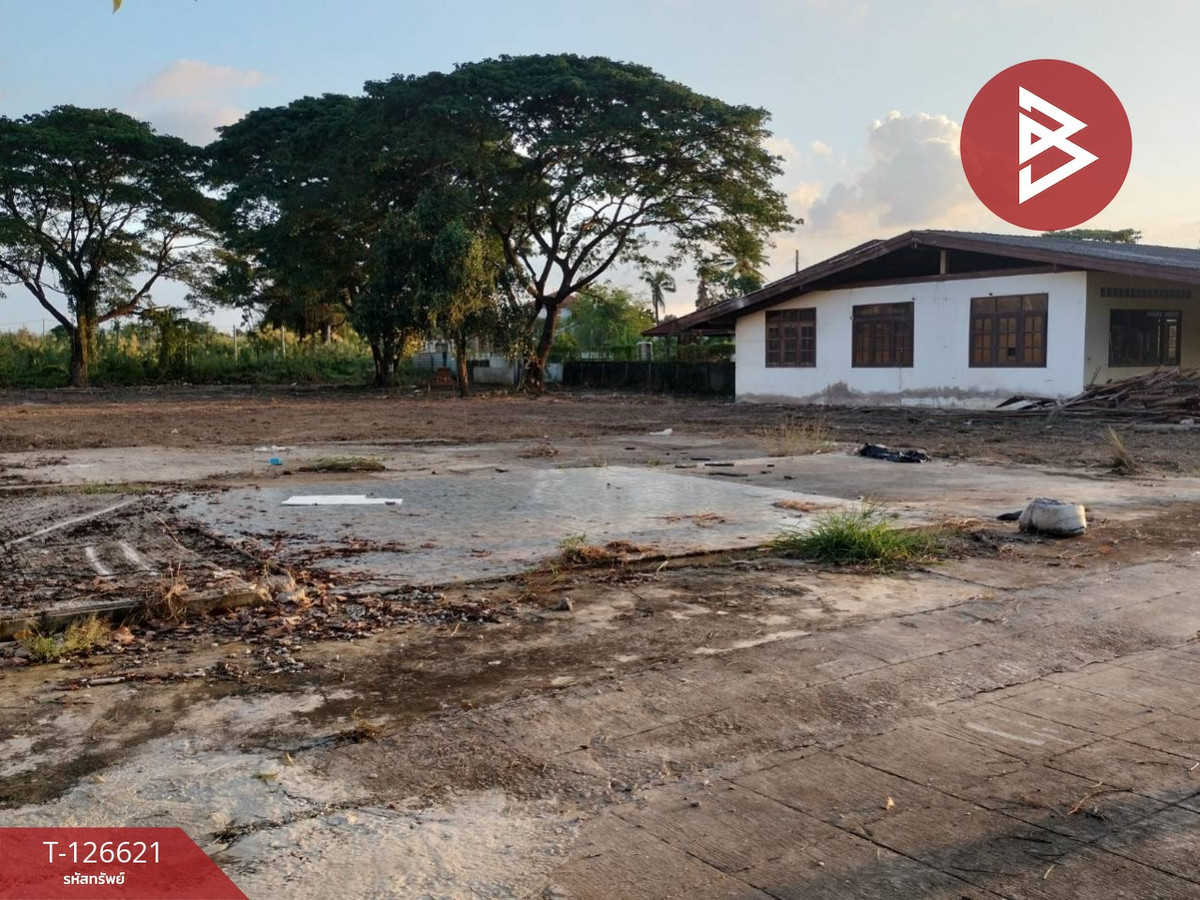 ขายที่ดิน เนื้อที่ 8 ไร่ 2 งาน 73.3 ตร.วา วัดจันทร์ พิษณุโลก – รูปที่ 4