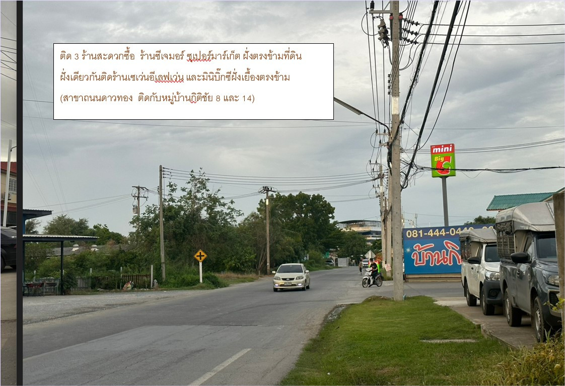บ้านศาลายา ถนนดาวทอง ต.มหาสวัสดิ์ อ.พุทธมณฑล จ.นครปฐม – รูปที่ 4