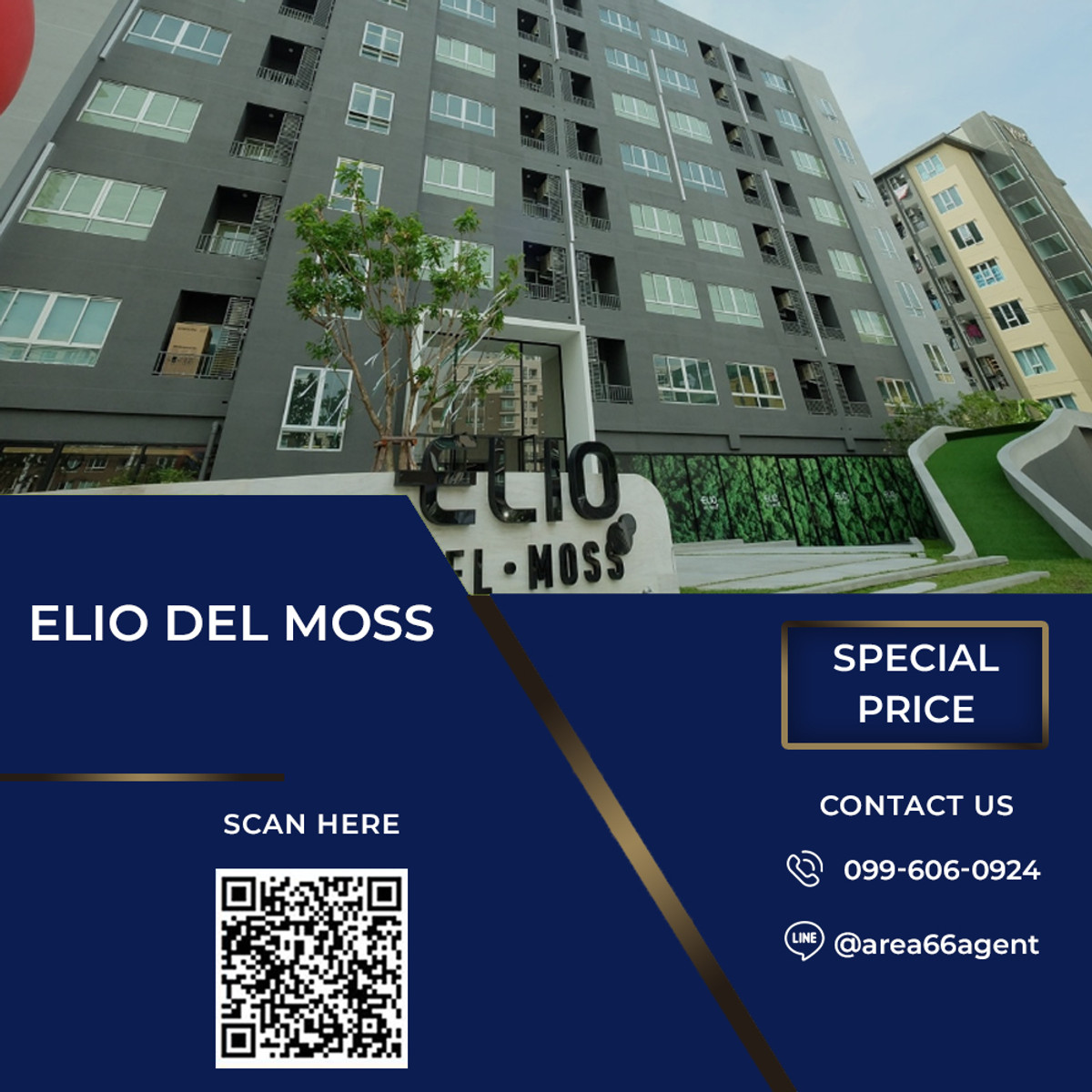 🔥 ขายด่วน Elio del moss 🔥 ขายด่วน Elio del moss