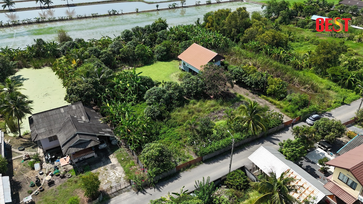 ขายที่ดินเปล่า 1 ไร่ หนองจอก ชุมชนหมู่ 4 ร่วมพัฒนา – บรรยากาศดี เหมาะสร้างบ้านพักอาศัย – รูปที่ 4