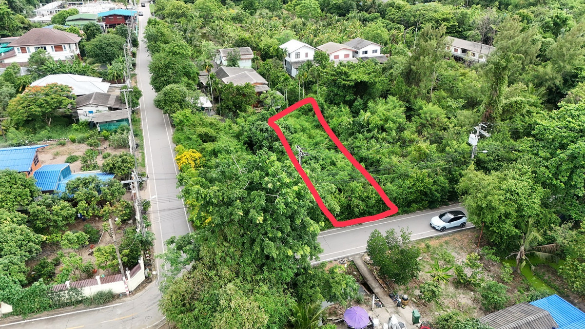 Best Price! Land Below Market Value Bang Kachao